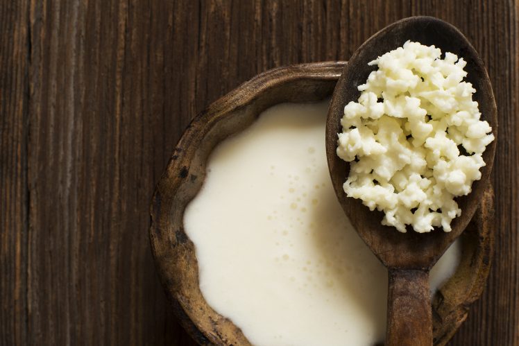 El kefir adelgazar o engorda de ganado