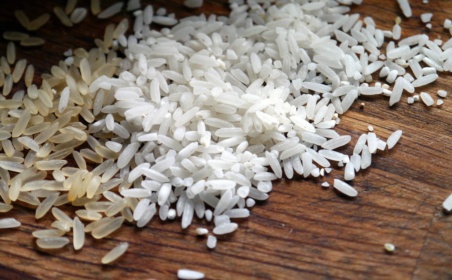 comer solo arroz blanco engorda