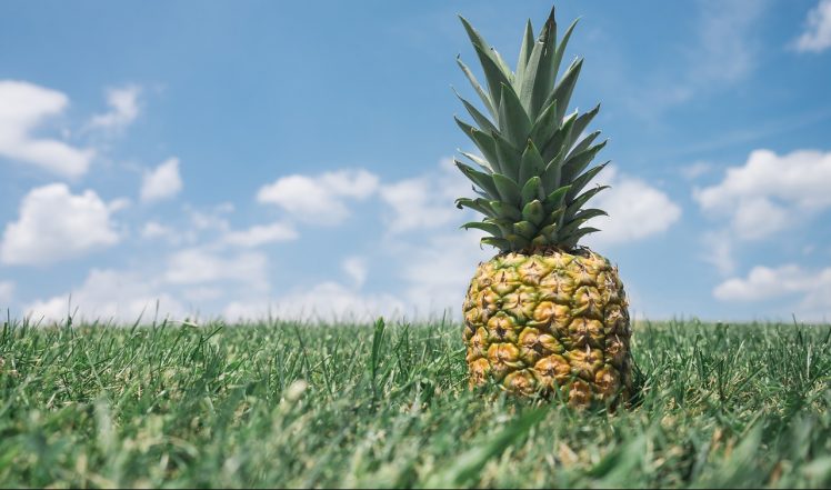 comer una piña entera engorda comer una piña entera engorda