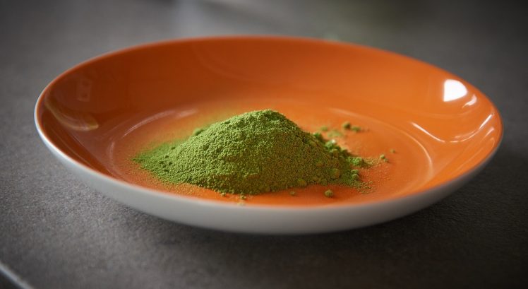 Como tomar semilla de moringa para bajar de peso Como tomar semilla de moringa para bajar de peso
